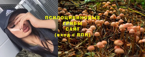 PSILOCYBIN Балабаново