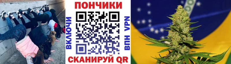 Бошки марихуана OG Kush  Купить  Славск 